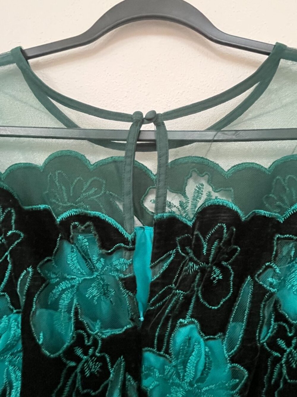 Eva Franco x Anthropologie Juliet Embroidered Velvet Mini Dress, Size 8 - Picture 5 of 9